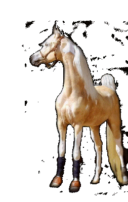 enchantedacresinc001019.gif