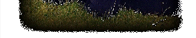 enchantedacresinc008007.gif